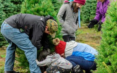 On Location, ist das ein Vorteil?